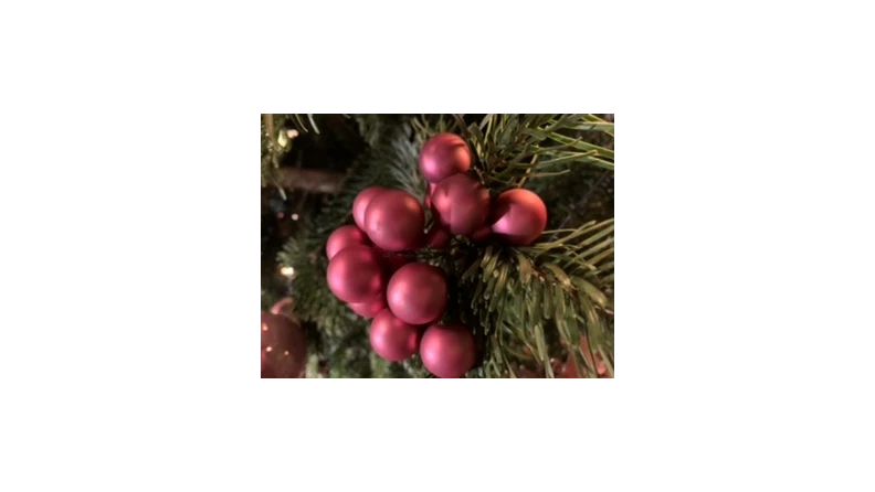 Location-mieten.de WÜNSCHT FROHE WEIHNACHTEN - location-mieten.de