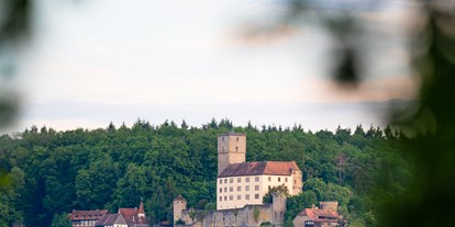 Eventlocation - geschäftliche Veranstaltungen - Mosbach - Burgschenke Burg Guttenberg