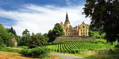 Eventlocation - geeignet für: Tagung - Rheinland-Pfalz - Schloss Arenfels von Außen  - Schloss Arenfels