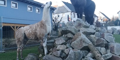 Eventlocation - Inventar: Spülmaschine - Eppelborn - Ausblick auf die Lamas und Alpakas aus dem Gastraum der AllerHand MietBar - AllerHand MietBar