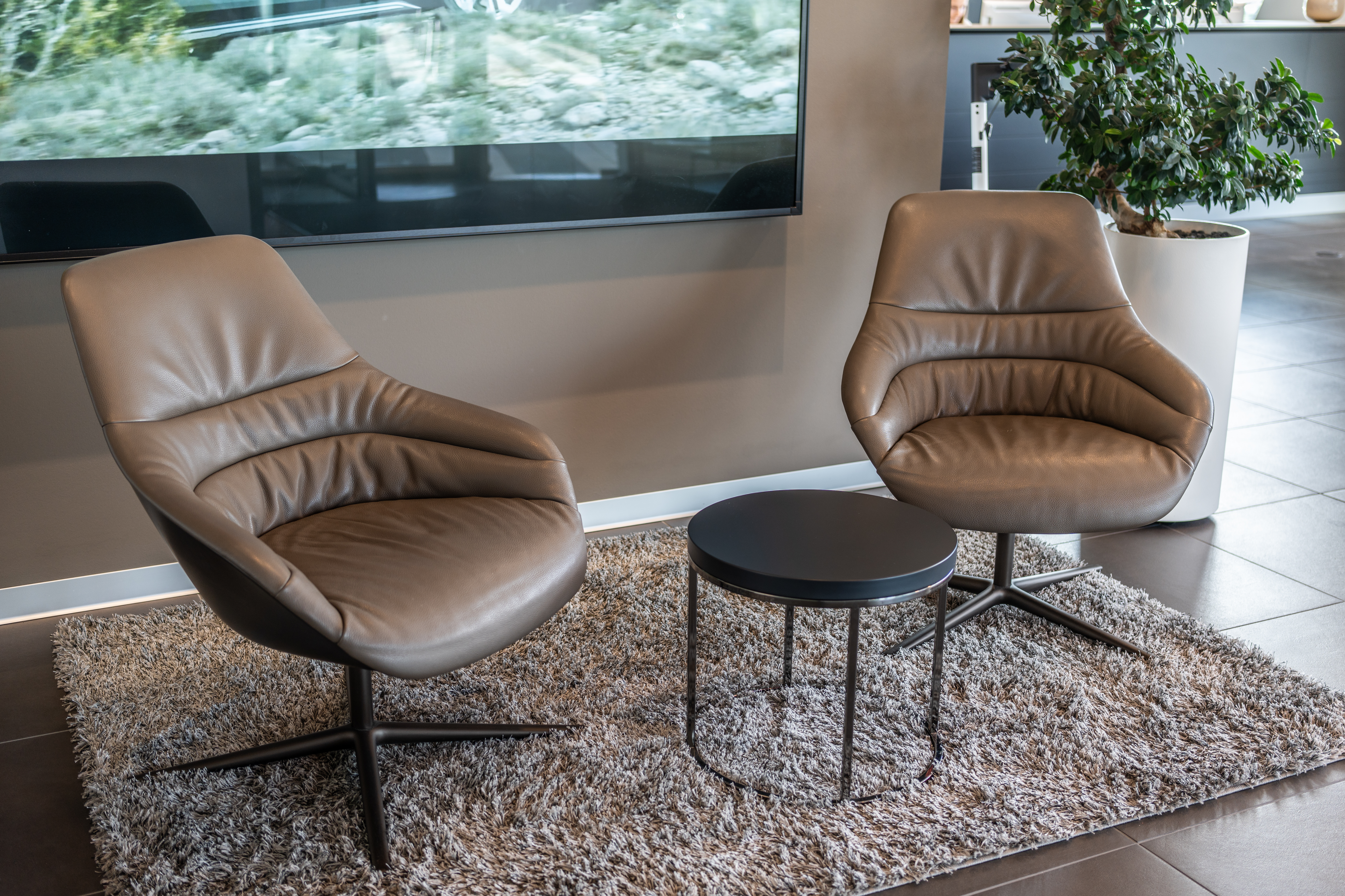 Location: Audi Conference Center