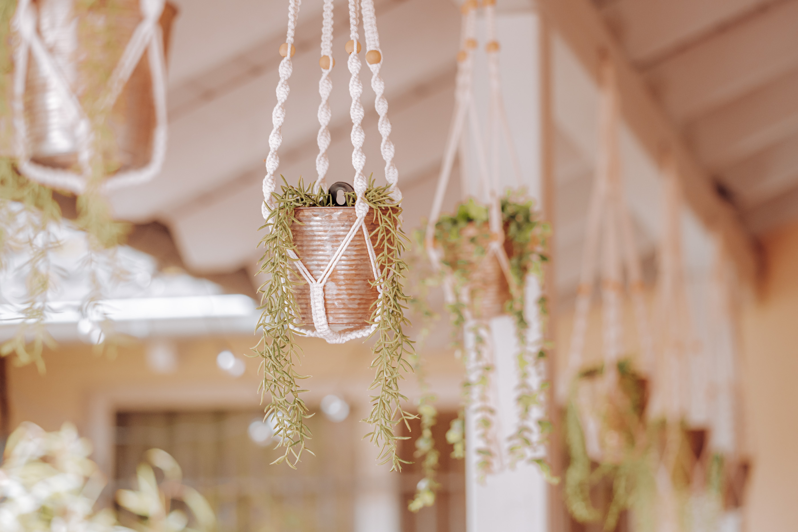 Location: Kultinarisch Eventlocation Seligenstadt