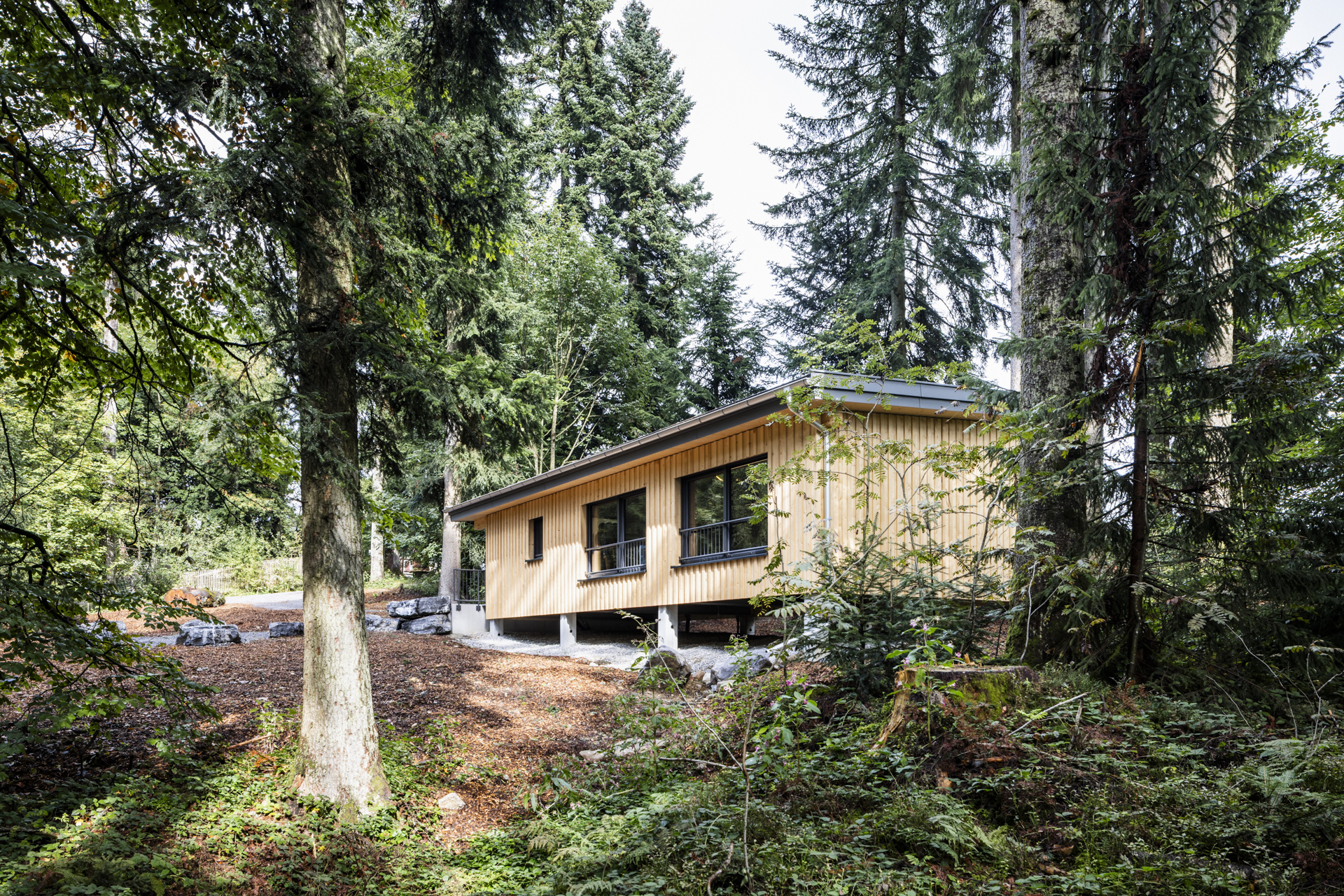 Eventlocation - Bayern - die Waldräume Allgäu - Außenansicht Waldraum Tanne - Waldräume Allgäu