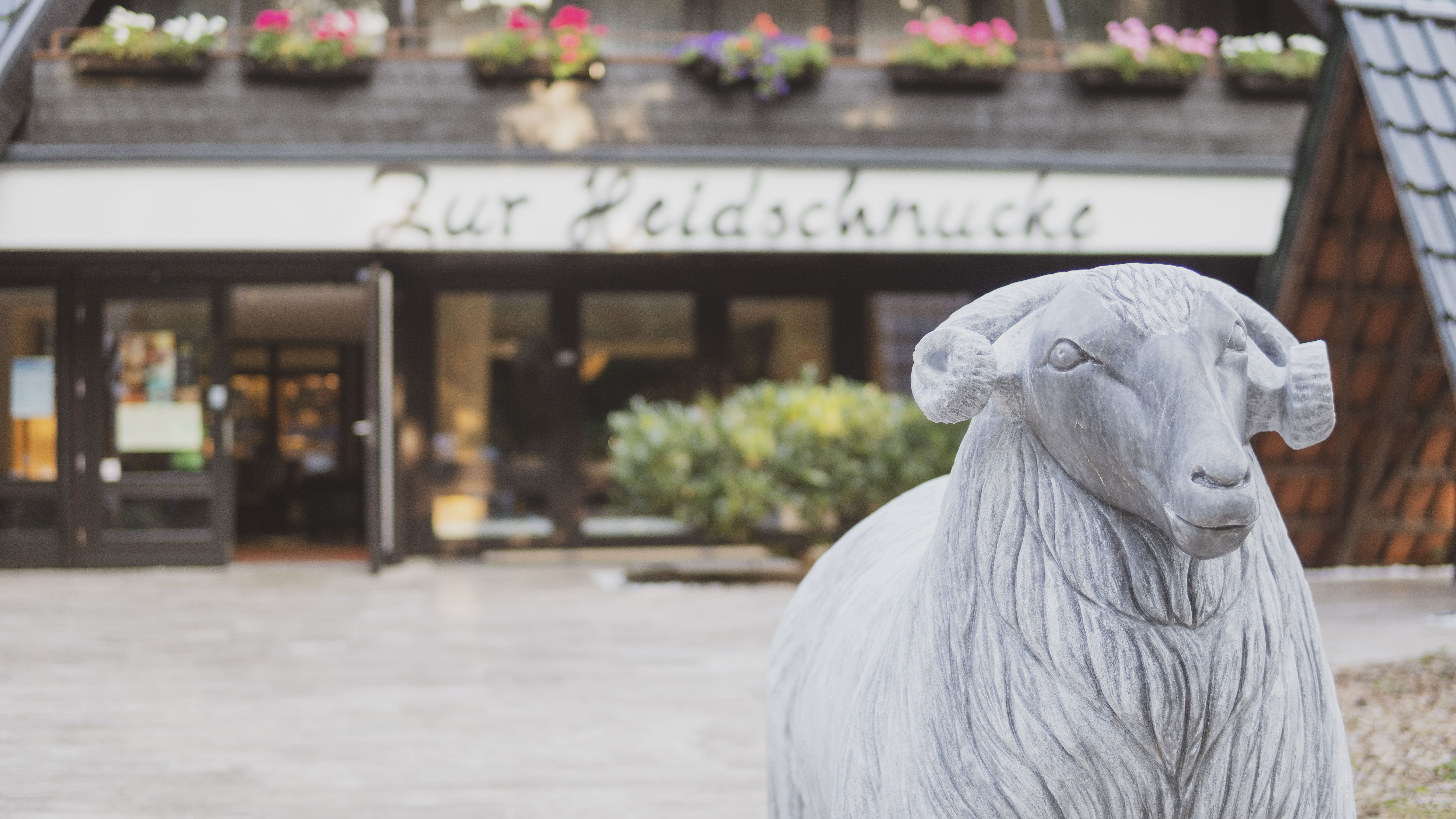 Hotel Zur Heidschnucke Hier finden sie all unsere Räume mit Beschreibungen Atrium
