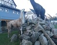 Location: Ausblick auf die Lamas und Alpakas aus dem Gastraum der AllerHand MietBar - AllerHand MietBar