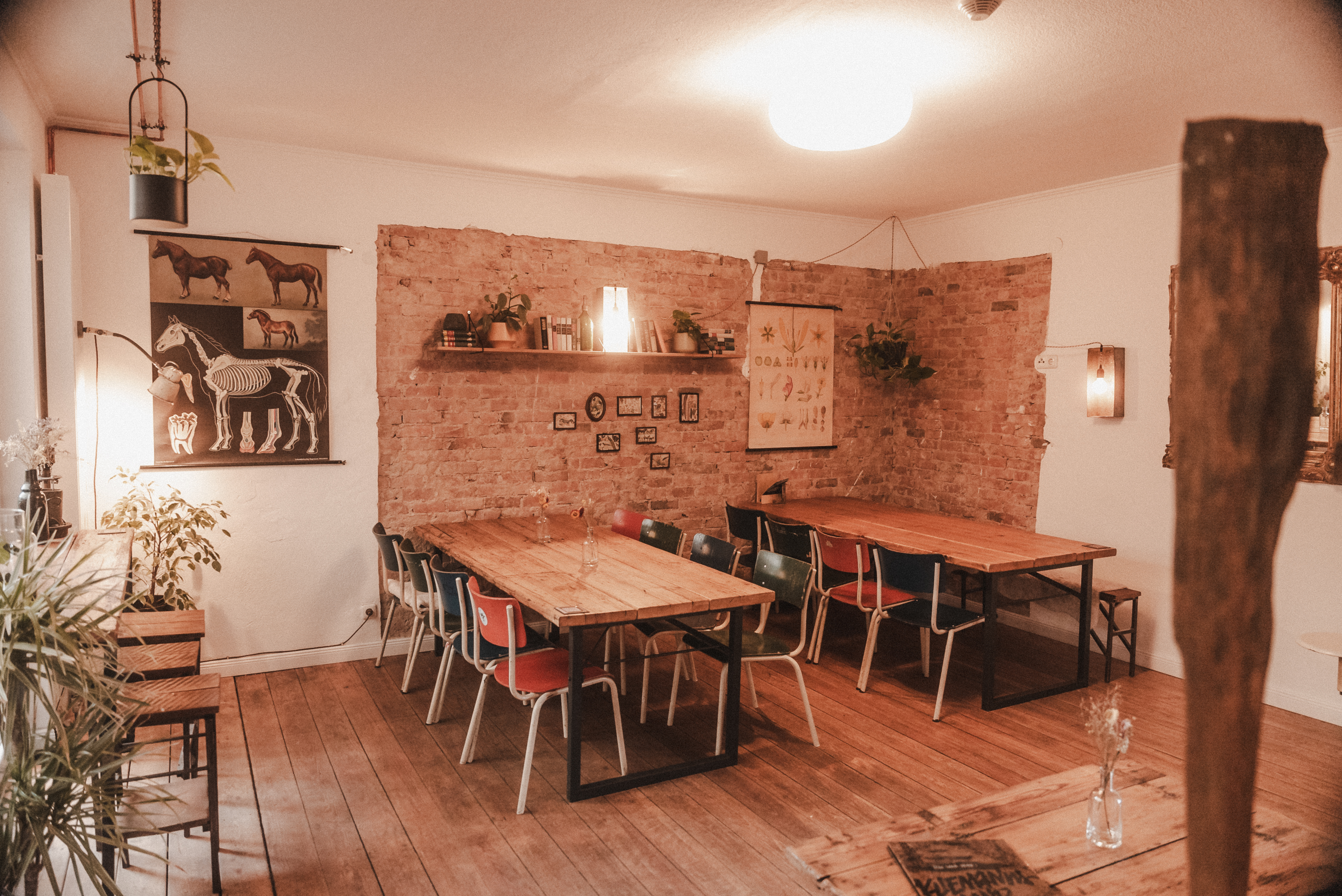 Eventlocation - Niedersachsen - Das Dübel im Kliemannsland mit Blick ins Wohnzimmer - Das Dübel im Kliemannsland